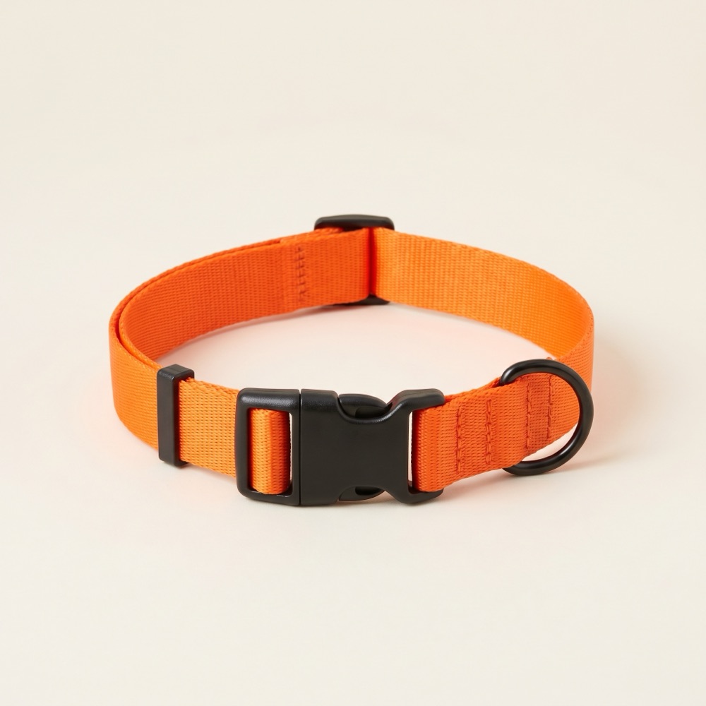 BFS Everyday Comfort Collar