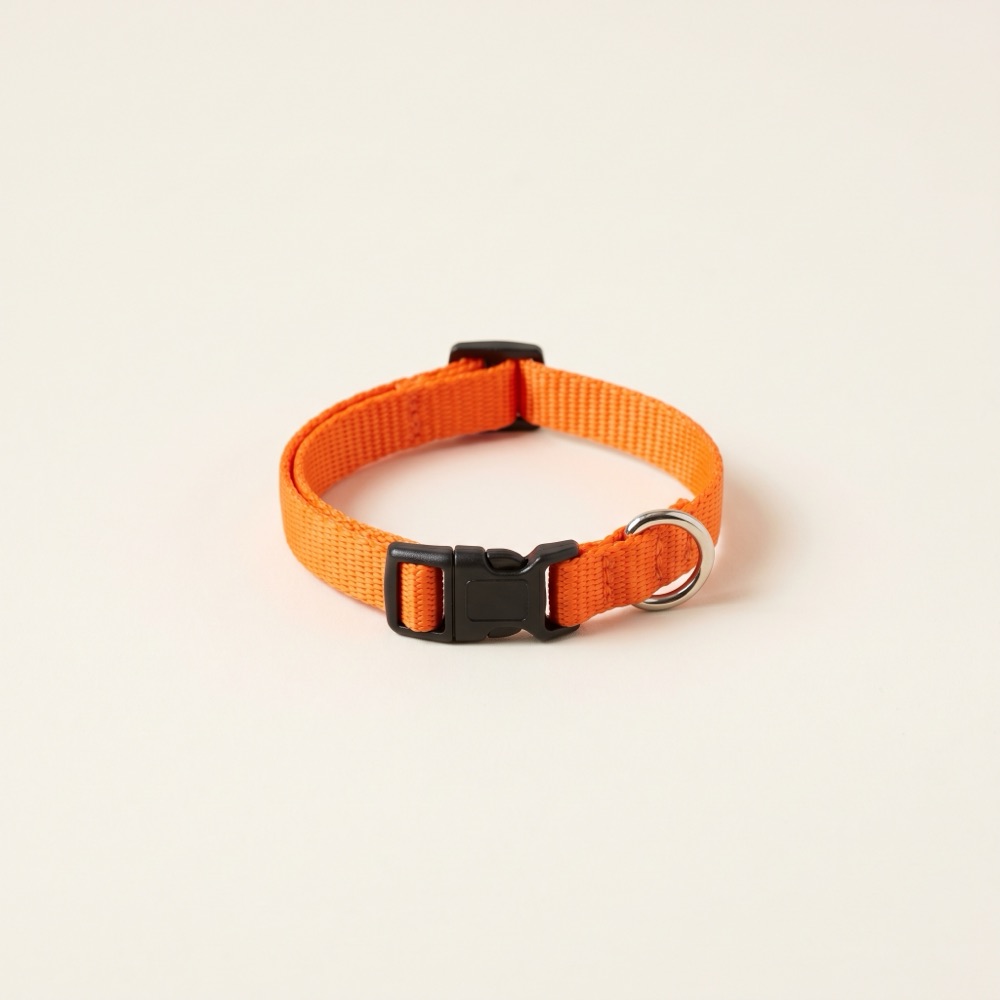 BFS Puppy's First Collar