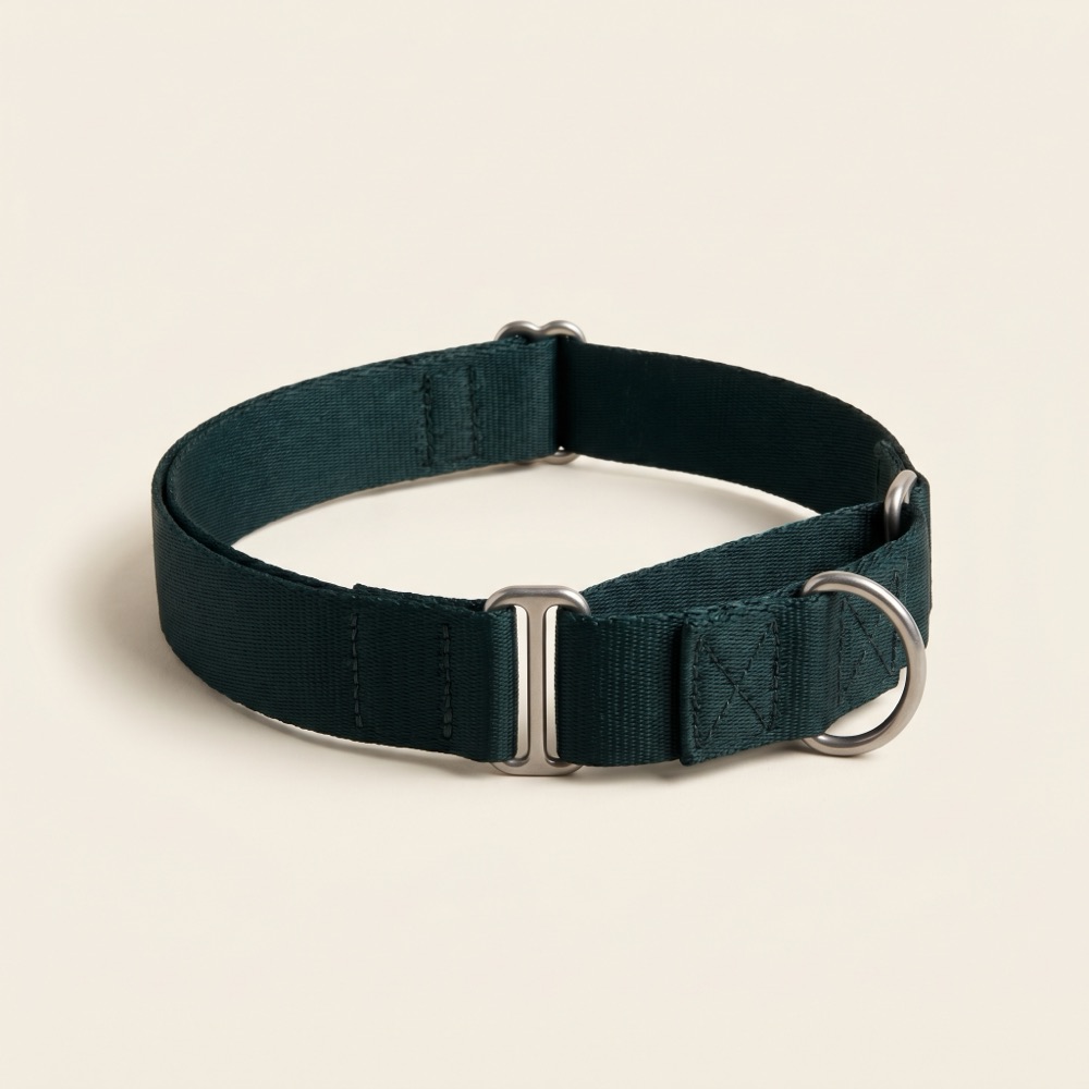 BFS Steady Step Martingale