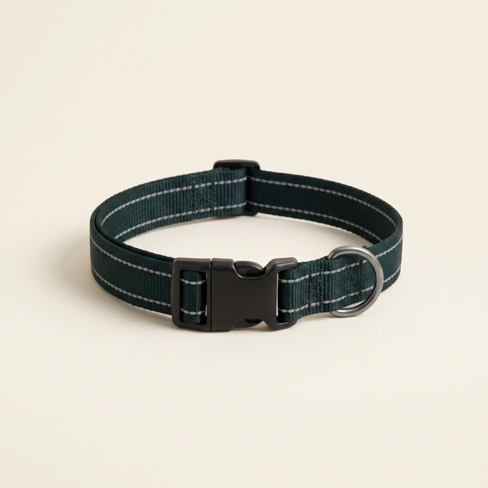 BFS Night Watch Reflective Collar