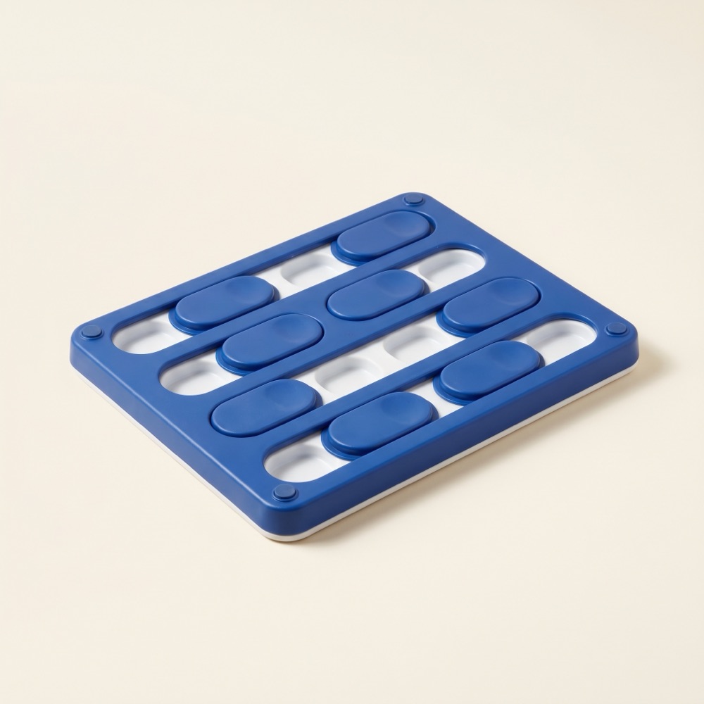 BFS Busy Brain Puzzle Feeder