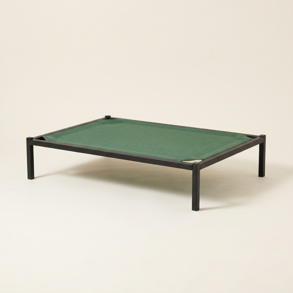 BFS Settle Spot Training Cot