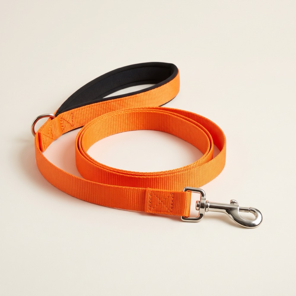 BFS Daily Mile Leash (5 ft)